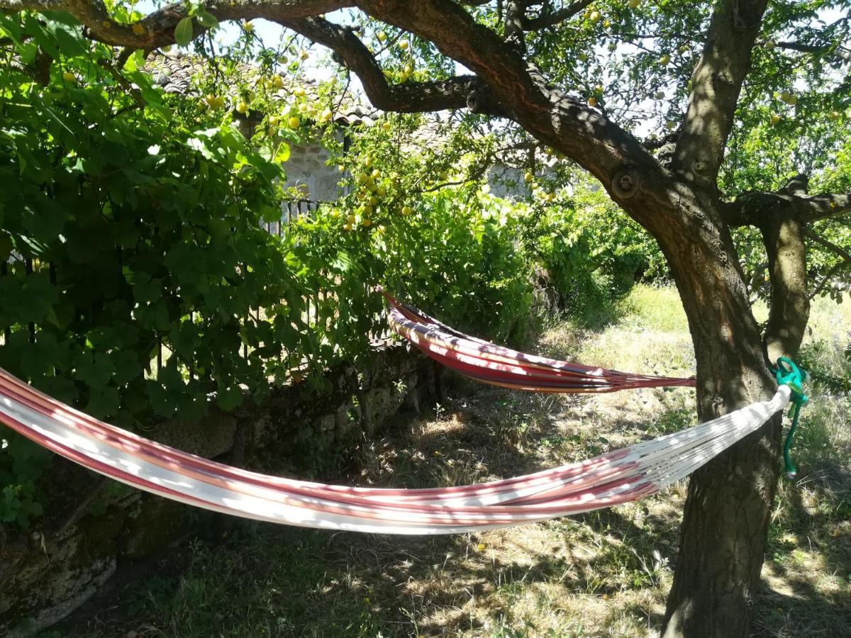 Solar Dos Carvalhos Bed & Breakfast Sernancelhe Dış mekan fotoğraf